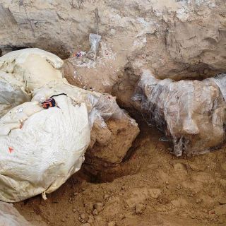 Encuentran restos de un mamut de hace más de 10 mil años en Puebla