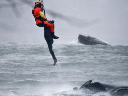 Un guardacosta colgado de un cable de un helicóptero se posicionó encima del vehículo, en medio de una ventisca. AP/J. Barnes