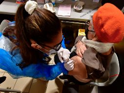 La OMS mantiene su recomendación de que sólo se ofrezcan dosis de refuerzo a los adultos mayores y a los trabajadores sanitarios. AFP/G. Gobet