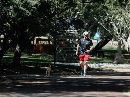 Quienes respondieron la encuesta, en general, señalaron que están “muy insatisfechos” con los servicios públicos, lo que significa que “la ciudad no ofrece lo mínimo que requerimos para el tejido social”. EL INFORMADOR / ARCHIVO