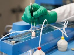 En un estudio en Estados Unidos se confirmó que el fármaco reduce en 89% de los casos el riesgo de hospitalización o muerte en adultos contagiados por COVID-19. EFE/Pfizer