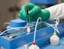 En un estudio en Estados Unidos se confirmó que el fármaco reduce en 89% de los casos el riesgo de hospitalización o muerte en adultos contagiados por COVID-19. EFE/Pfizer