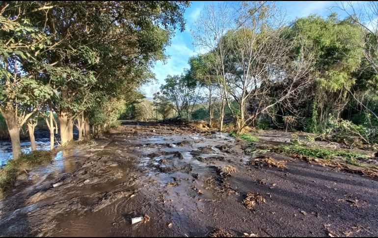 ESPECIAL / Protección Civil Jalisco