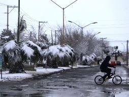 El invierno es la temporada más fría del año; en algunas zonas de México no se descartan heladas y nevadas. EFE / ARCHIVO