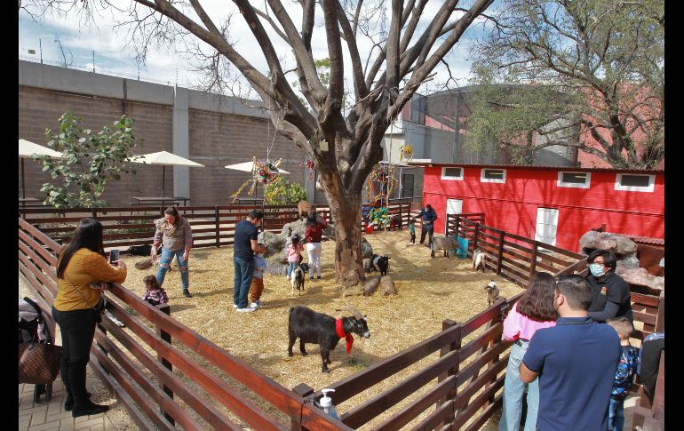 Con la ampliación de la granja, el recorrido total del acuario es de aproximadamente seis horas. EL INFORMADOR/A. Camacho