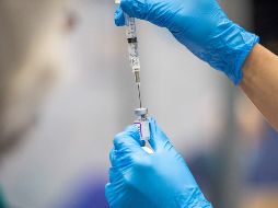 Además de Pfizer, la EMA autorizó para el mercado europeo las vacunas de Moderna, AstraZeneca, Janssen y desde ayer, la vacuna estadounidense Nuvaxovid de Novavax. AFP / P. Faith