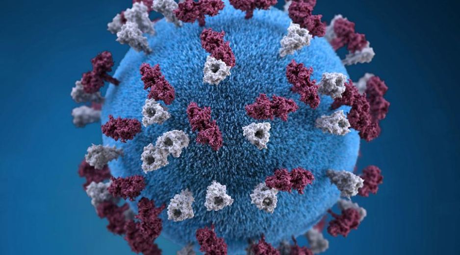 Tras infectarse con el virus del sarampión, el sistema inmunológico borra los recuerdos de otras enfermedades. REUTERS