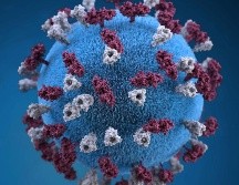 Tras infectarse con el virus del sarampión, el sistema inmunológico borra los recuerdos de otras enfermedades. REUTERS