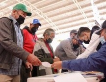 El apoyo es de dos mil pesos por hectárea afectada en cultivos básicos y de tres mil pesos por hectárea afectada en cultivos perennes. CORTESÍA/Gobierno de Jalisco