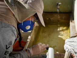 Autoridades realizan acciones de prevención y control del dengue, que se transmite por el mosquito Aedes aegypti. ESPECIAL/Gobierno de Jalisco/ARCHIVO