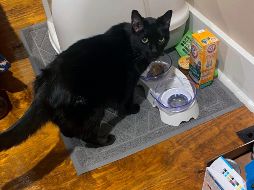 Madix estaba sumamente hambriento y sediento, pero ileso. AP/S. Gibson