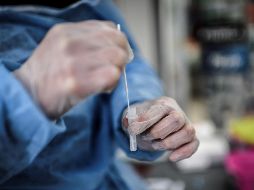 Hasta el momento, agencia británica es muy cautelosa debido al bajo número de casos de pacientes hospitalizados con esta nueva variante. AFP / S. De Sakutin