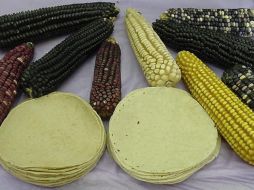 La tortilla tiene alto contenido de carbohidratos complejos, nutrientes fundamentales para el correcto funcionamiento del cuerpo. EFE / ARCHIVO