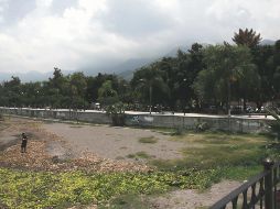 Amenazas. El lirio, la contaminación y el desperdicio de agua golpean constantemente a nuestro vaso lacustre. Archivo/ El Informador