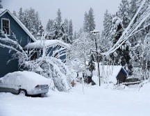 La tormenta ha tumbado árboles y líneas de transmisión eléctrica, dejando a miles de personas sin electricidad. AP/E. Funez