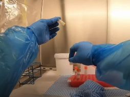 YOUTUBE/BBC News Mundo