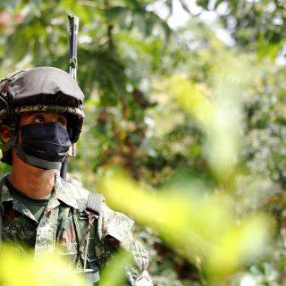 Colombia: Erradican más de 100 mil hectáreas de coca en 2021