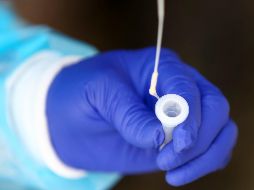 La variante ómicron es altamente contagiosa, por lo que hacen un llamado a extremar precauciones. EFE/J. Jácome