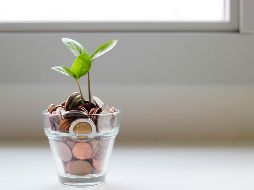 Enero es un reto pero saca el mejor provecho al organizar tus finanzas / Photo by Visual Stories on Unsplash