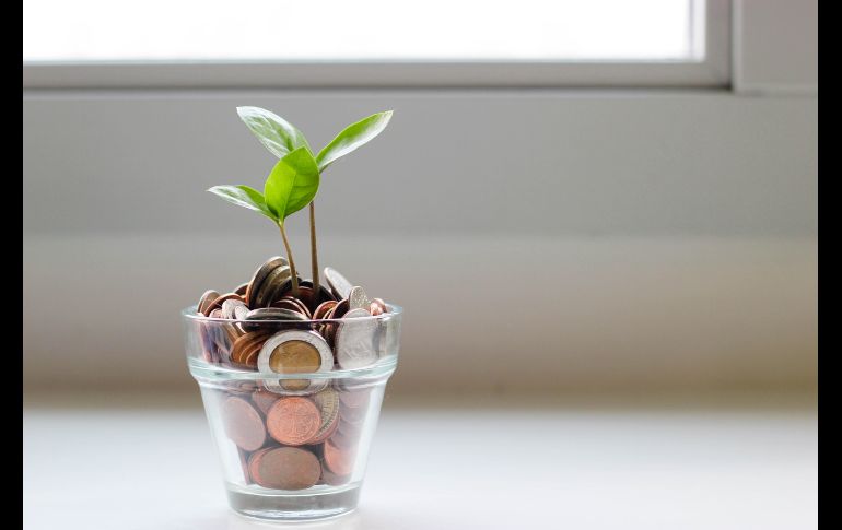 Enero es un reto pero saca el mejor provecho al organizar tus finanzas / Photo by Visual Stories on Unsplash