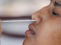 La UdeG informó que en el CUCS actualmente se aplican 260 pruebas diarias y el próximo lunes serán 1200. EFE / ARCHIVO