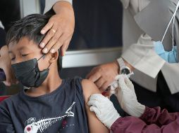 Denuncian que un gran número de niños, niñas y jóvenes debieron viajar a Estados Unidos para poder vacunarse. AP/T. Syuflana