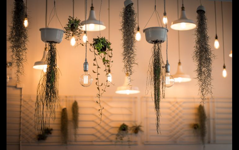 Tú puedes crear el ambiente que más te guste con iluminación natural o artificial / Photo by Patrick Schneider on Unsplash