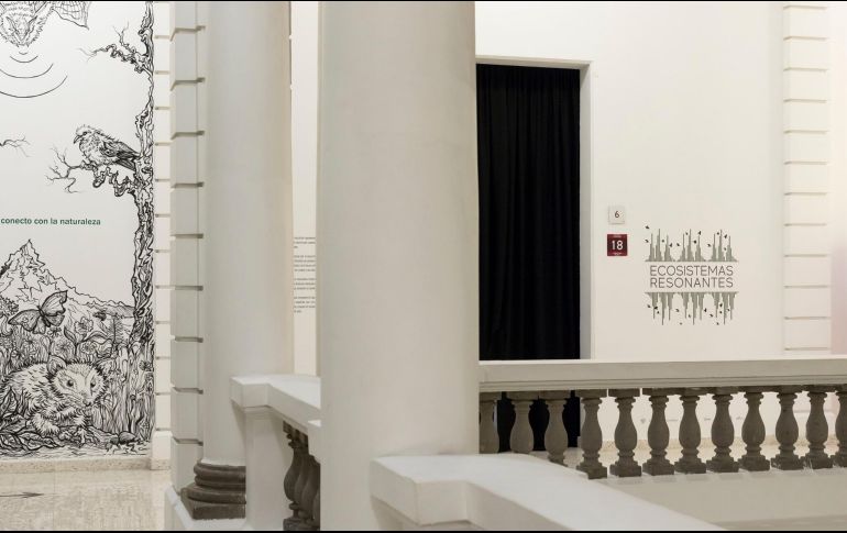 Mural de Hindra Medina. ESPECIAL/FOTOTECA MUSA • MARIBEL BARAJAS.