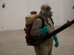 En materia de defunciones, fueron 3 las muertes provocadas por el dengue en Jalisco. EL INFORMADOR/ARCHIVO