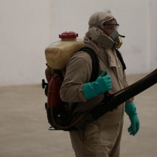 Dengue: Jalisco cierra 2021 con la menor incidencia en diez años