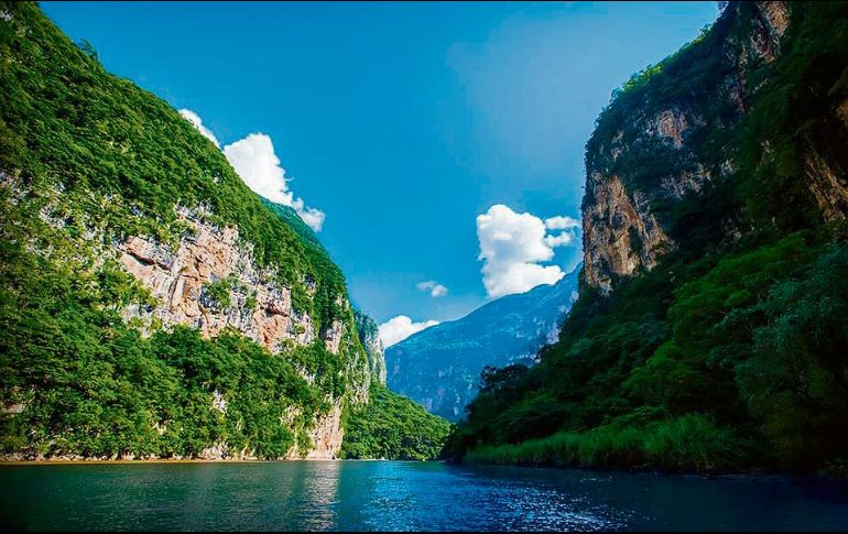 Cañón del sumidero. Este Parque Nacional ofrece al turismo una oportunidad de sumergirse en la naturaleza, en aguas turquesas circundadas por el eterno verdor. Turismo Chiapas