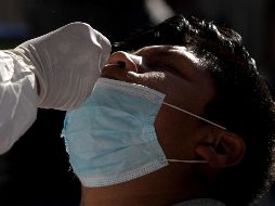 En caso de tener algún síntoma como dolor de garganta, fluido nasal, fiebre o dolor de cabeza, lo más recomendable es realizarse una prueba de COVID-19 y, de preferencia, también de influenza. AFP / U. Ruiz