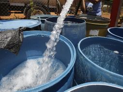 El Siapa aclaró que también podría registrarse baja presión en el suministro en los hogares de dichas colonias. EFE / ARCHIVO