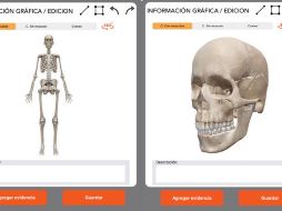 La 'app' permitirá determinar sexo, raza, edad, estatura y afinidad biológica de restos óseos en calidad de desconocidos de manera rápida y confiable. ESPECIAL.