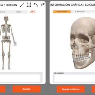 Con ‘app’ inédita, mexicanos buscan combatir crisis forenses