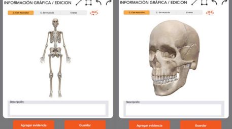 La 'app' permitirá determinar sexo, raza, edad, estatura y afinidad biológica de restos óseos en calidad de desconocidos de manera rápida y confiable. ESPECIAL.