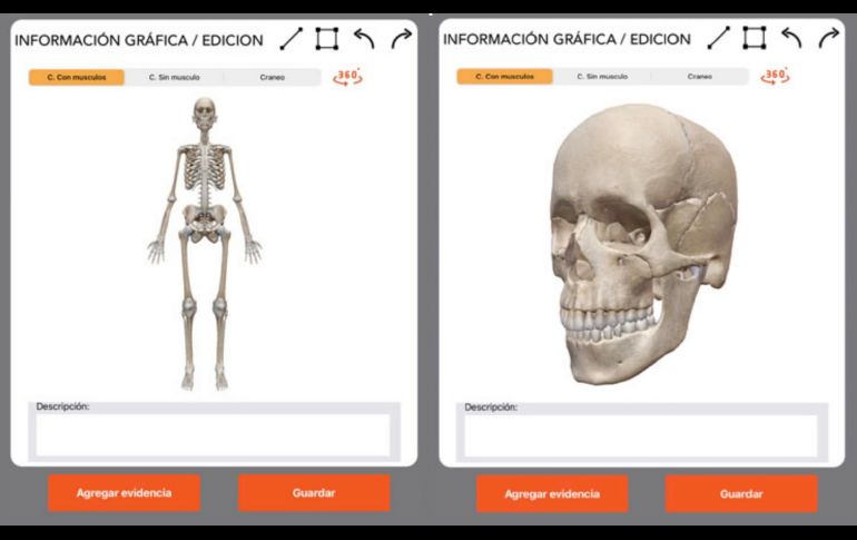 La 'app' permitirá determinar sexo, raza, edad, estatura y afinidad biológica de restos óseos en calidad de desconocidos de manera rápida y confiable. ESPECIAL.