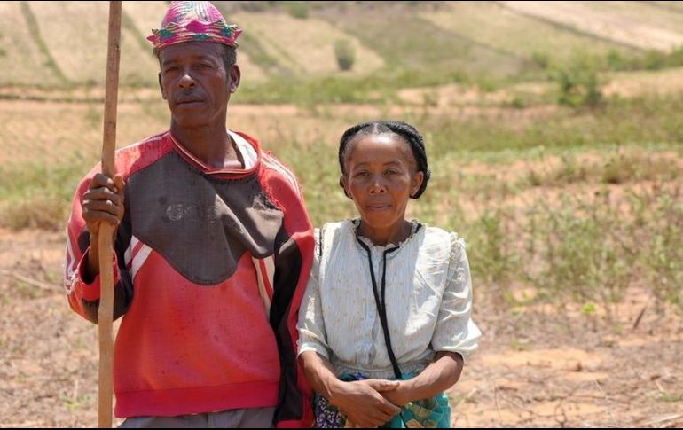 Loharano y su esposo Mandilimana han transformado la manera en la que siembran para luchar contra la sequía. SIRA THIERIJ/BBC
