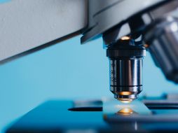 La hipótesis de que el virus de Epstein-Barr cause la esclerosis múltiple ha sido analizada por diversos grupos científicos . PIXABAY