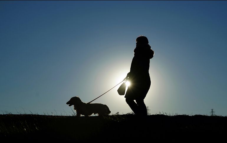 Para llegar hasta la perrita, los trabajadores de rescate utilizaron motosierras para cortar las paredes y el piso de la casa. AP / E.Hoshiko