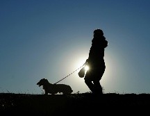 Para llegar hasta la perrita, los trabajadores de rescate utilizaron motosierras para cortar las paredes y el piso de la casa. AP / E.Hoshiko