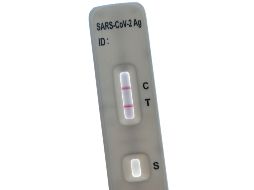 En muchas regiones, se ha reportado escasez de este tipo de test, lo que ha dificultado contener la nueva ola de contagios. AFP / ARCHIVO