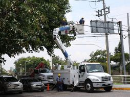 Se espera discutir la perspectiva de autoridades locales y de representantes de los sectores interesados en el tema. EL INFORMADOR/Archivo