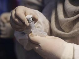 Advierten que el impacto de ómicron no se debe minimizar con el argumento de que es menos letal. EFE/F. Khan