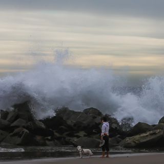 Tonga: Tsunami de casi dos metros llega a costas de Chile tras erupción