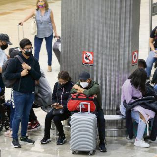 El AICM detuvo operaciones ¡por un perro!