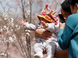 La media de hijos por mujer cayó de más de seis en la década de 1960 a menos de tres para 1980, según el Banco Mundial. AP/H. Guan