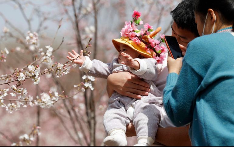 La media de hijos por mujer cayó de más de seis en la década de 1960 a menos de tres para 1980, según el Banco Mundial. AP/H. Guan