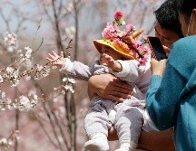 La media de hijos por mujer cayó de más de seis en la década de 1960 a menos de tres para 1980, según el Banco Mundial. AP/H. Guan