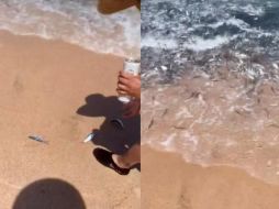 Usuarios relacionaron el extraño suceso con la erupción del volcán submarino en Tonga. TIKTOK